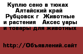 Куплю сено в тюках - Алтайский край, Рубцовск г. Животные и растения » Аксесcуары и товары для животных   